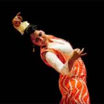 Espectáculo Flamenco