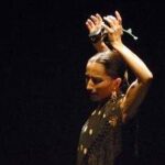 espectáculo flamenco