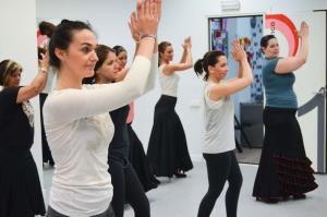 Flamenco nivel medio