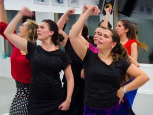 Flamenco nivel medio