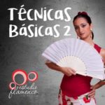 La Técnica del flamenco