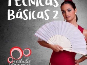 La Técnica del flamenco