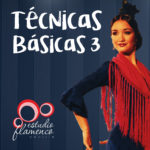 Técnica flamenca