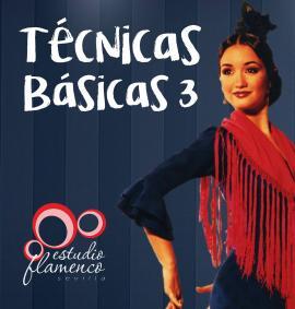 Técnica flamenca