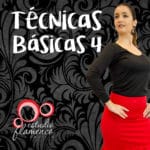 Técnica básica de flamenco
