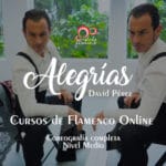 coreografía por alegrías