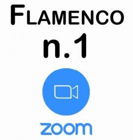 Clases de Flamenco por Zoom Nivel 1