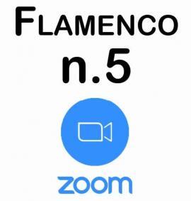 Clases de Flamenco por Zoom Nivel 5 – Avanzado