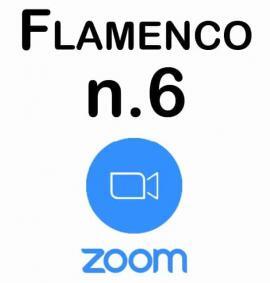 Clases de Flamenco por Zoom Nivel 6 – Profesional